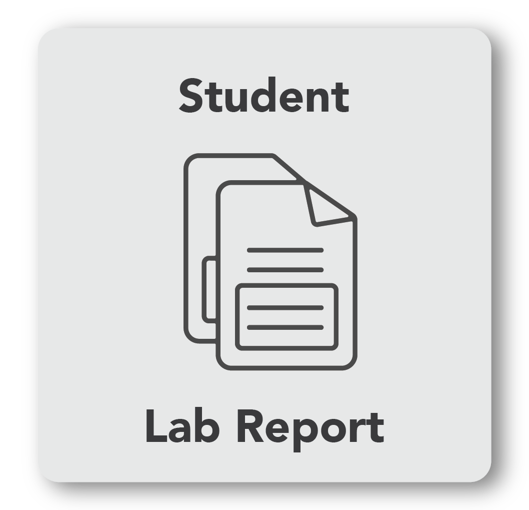 Flying Rings student lab report worksheet